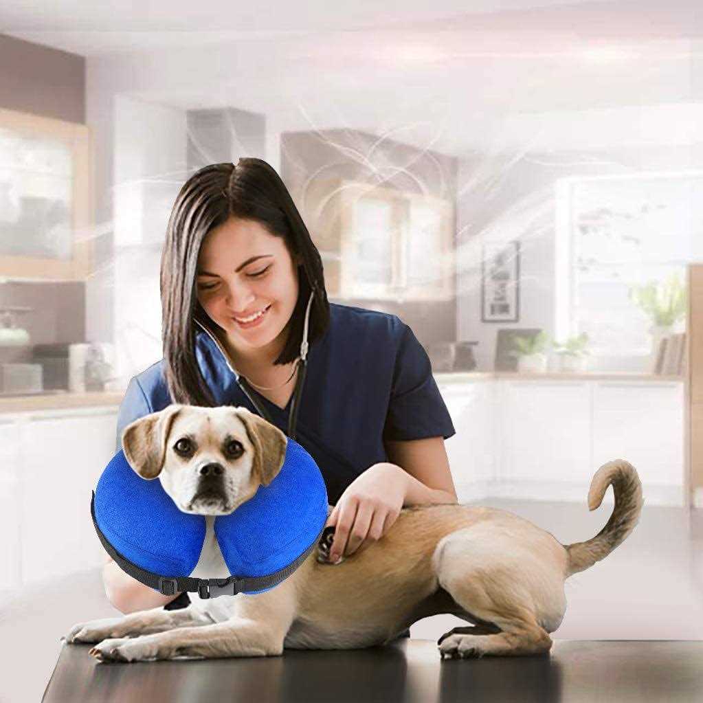 Protective Inflatable Cone Collar for Dogs and Cats E98068