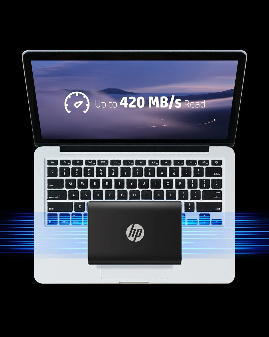 1TB Portable SSD W463