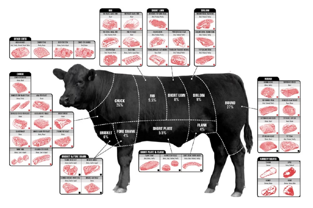 27x40 Square Beef Cuts Butcher Chart Poster Z986132