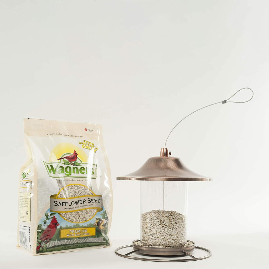 5-Pound Bag Safflower Seed Wild Bird Food Y3434