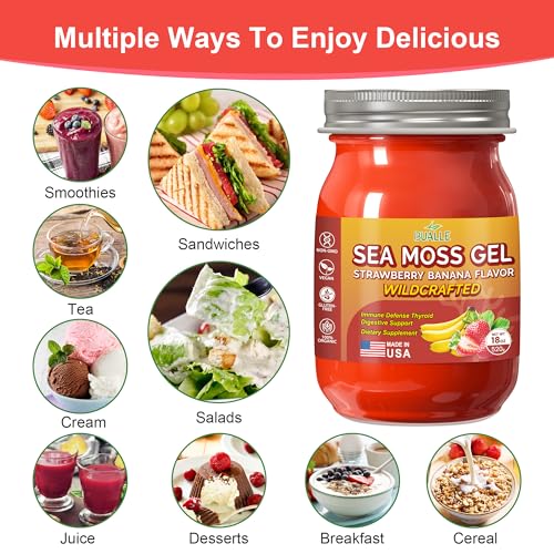 18 OZ Organic Sea Moss Gel R710