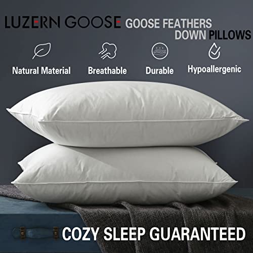 Queen Size 2 Pack Down Feather Pillow with 100% Cotton Cover L138007