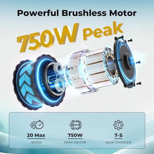 750W Peak Motor Electric Mountain Bike with 480 WH Removeable Battery E989418