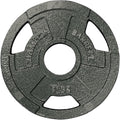 5-pound Olympic Grip Plate W431