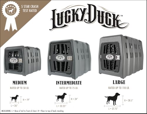 Large Portable Dog Crate G933551
