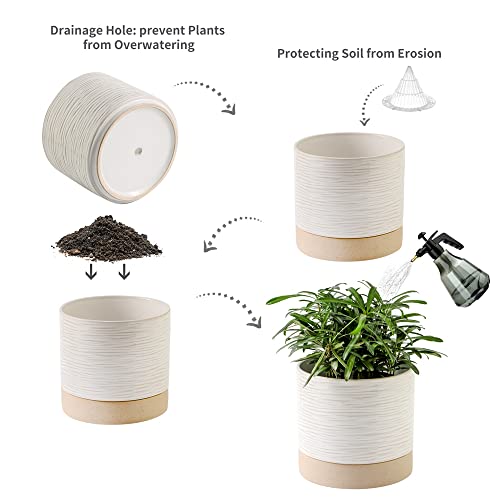 6 Inch Ceramic Self Watering Plant Pot with Drainage Hole Q388219