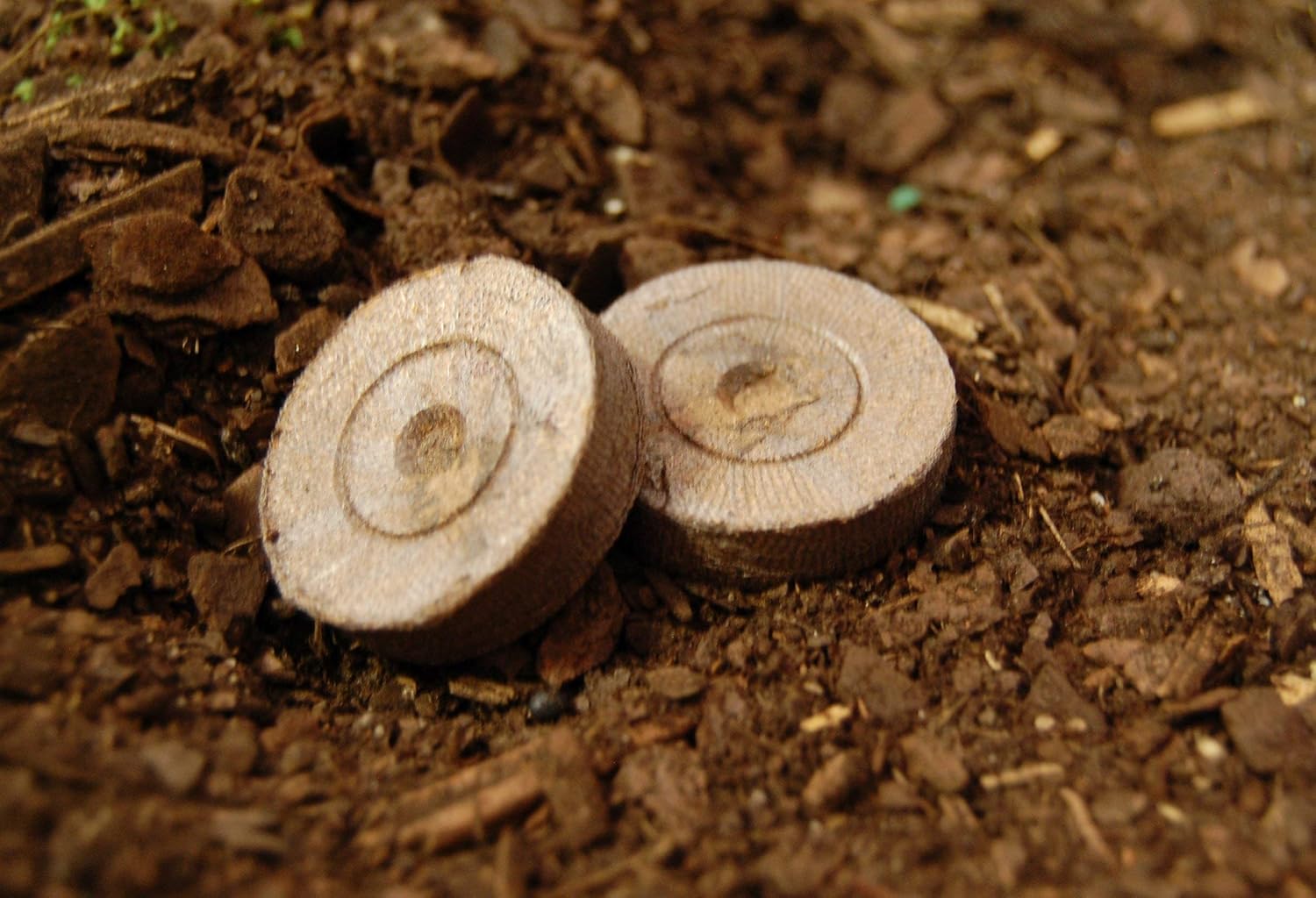 100 ea Peat Pellet Y61686