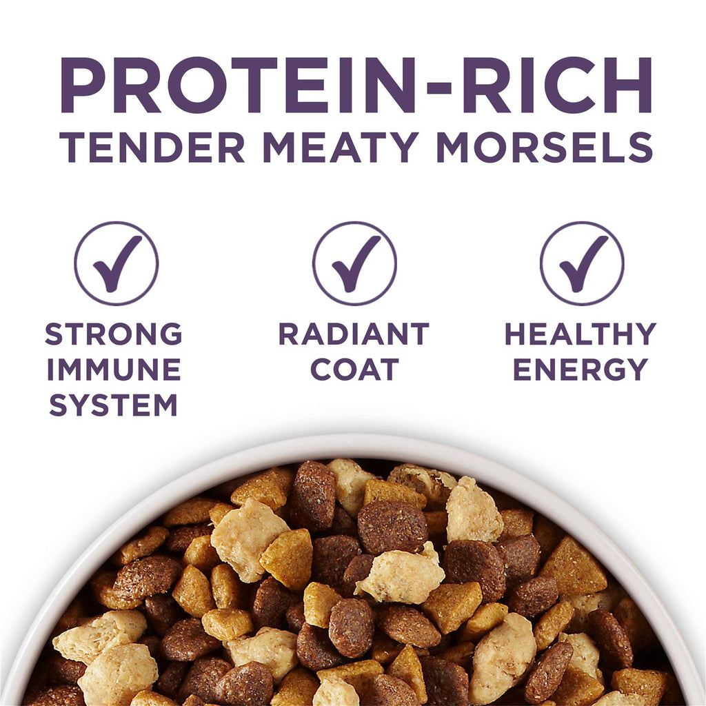 Adult Dry Dog Food Senior Z6158