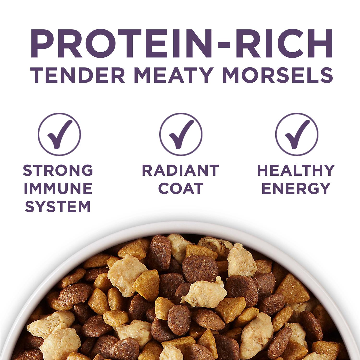 Adult Dry Dog Food Senior Z6158