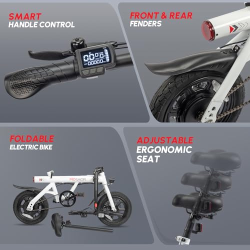 14" Folding Electric Bike 350W Motor 36V 6AH Battery W177