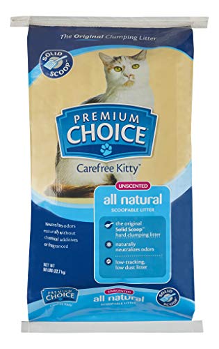 Unscented Clumping Cat Litter - 25lb Bag D39773