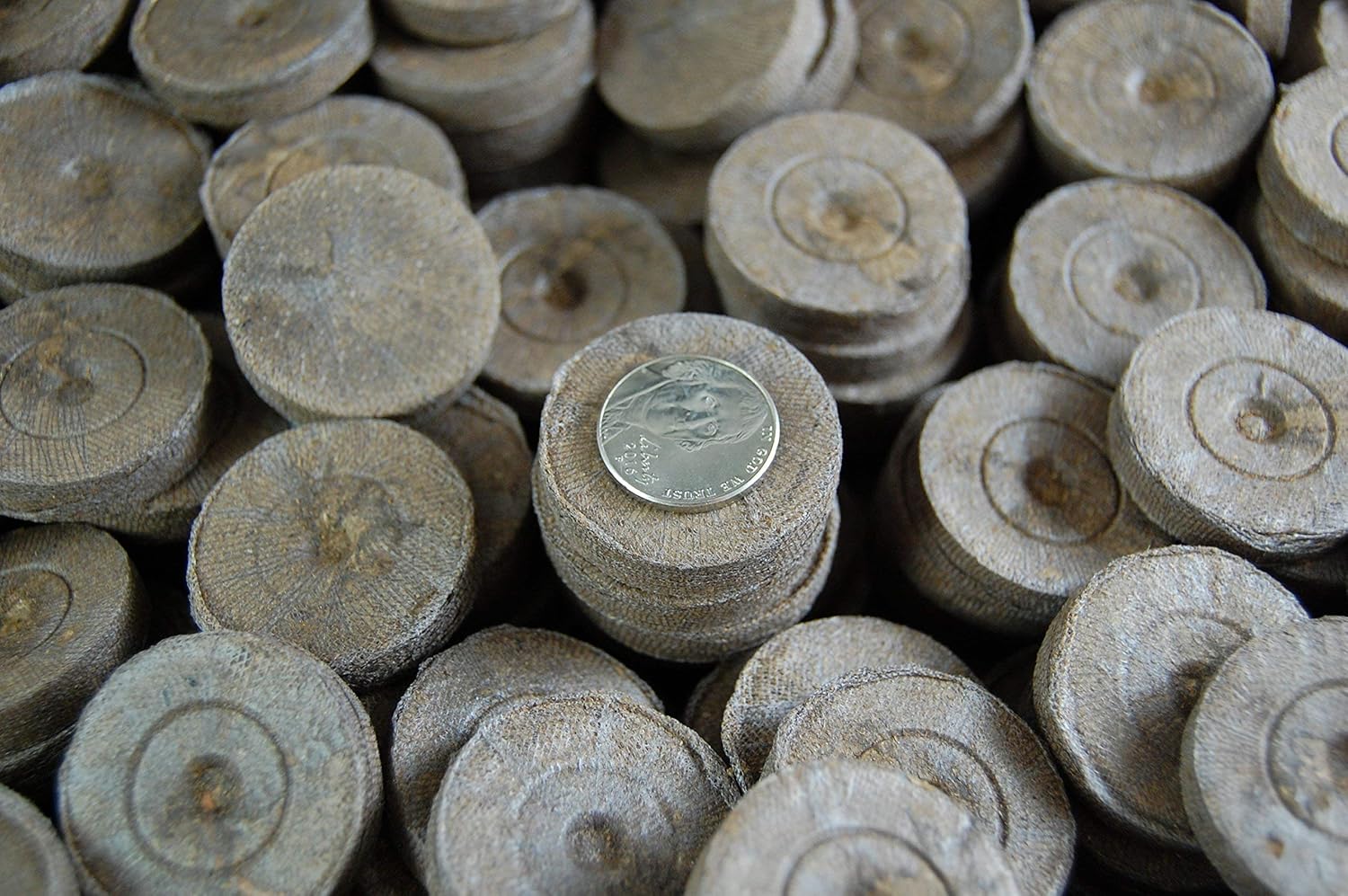 100 ea Peat Pellet Y61686