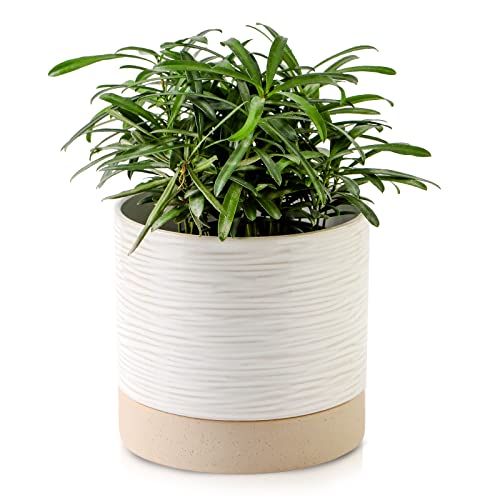 6 Inch Ceramic Self Watering Plant Pot with Drainage Hole Q388219