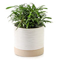 6 Inch Ceramic Self Watering Plant Pot with Drainage Hole Q388219