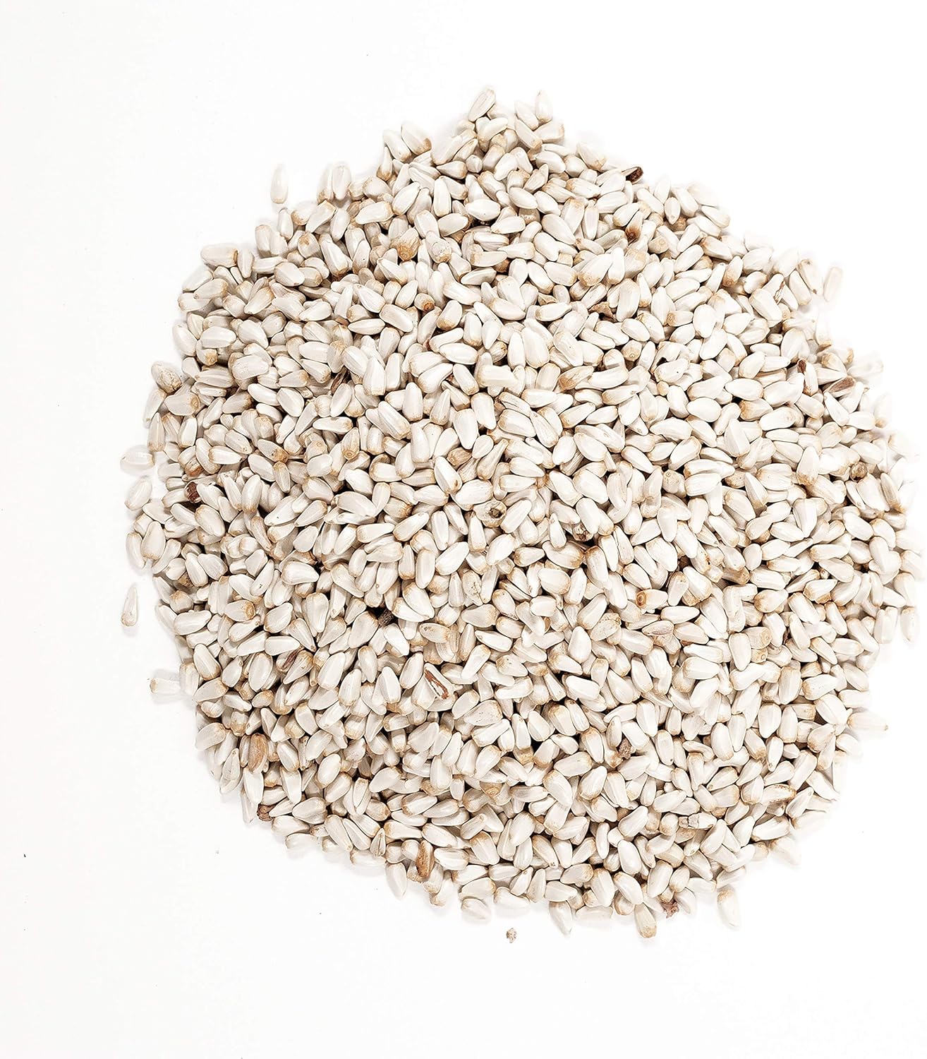 5-Pound Bag Safflower Seed Wild Bird Food Y3434