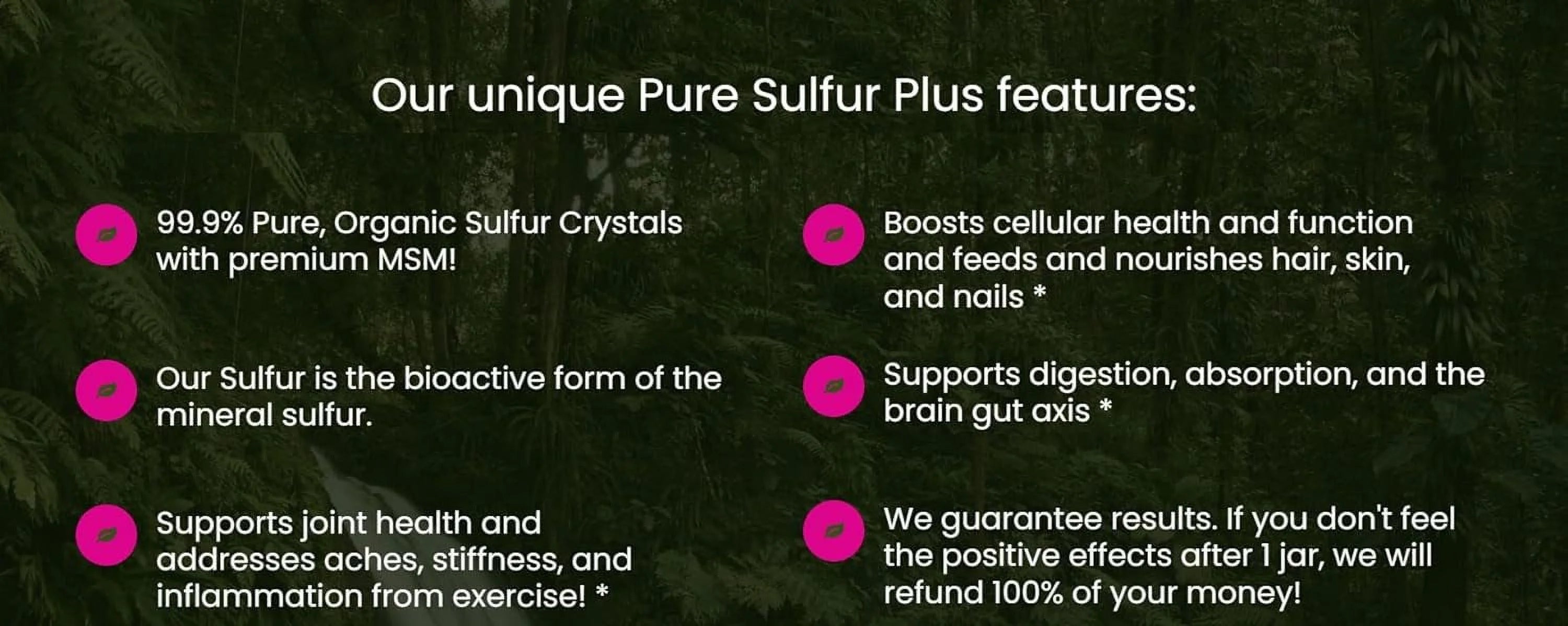 Pure Sulfur-60 Servings H30674