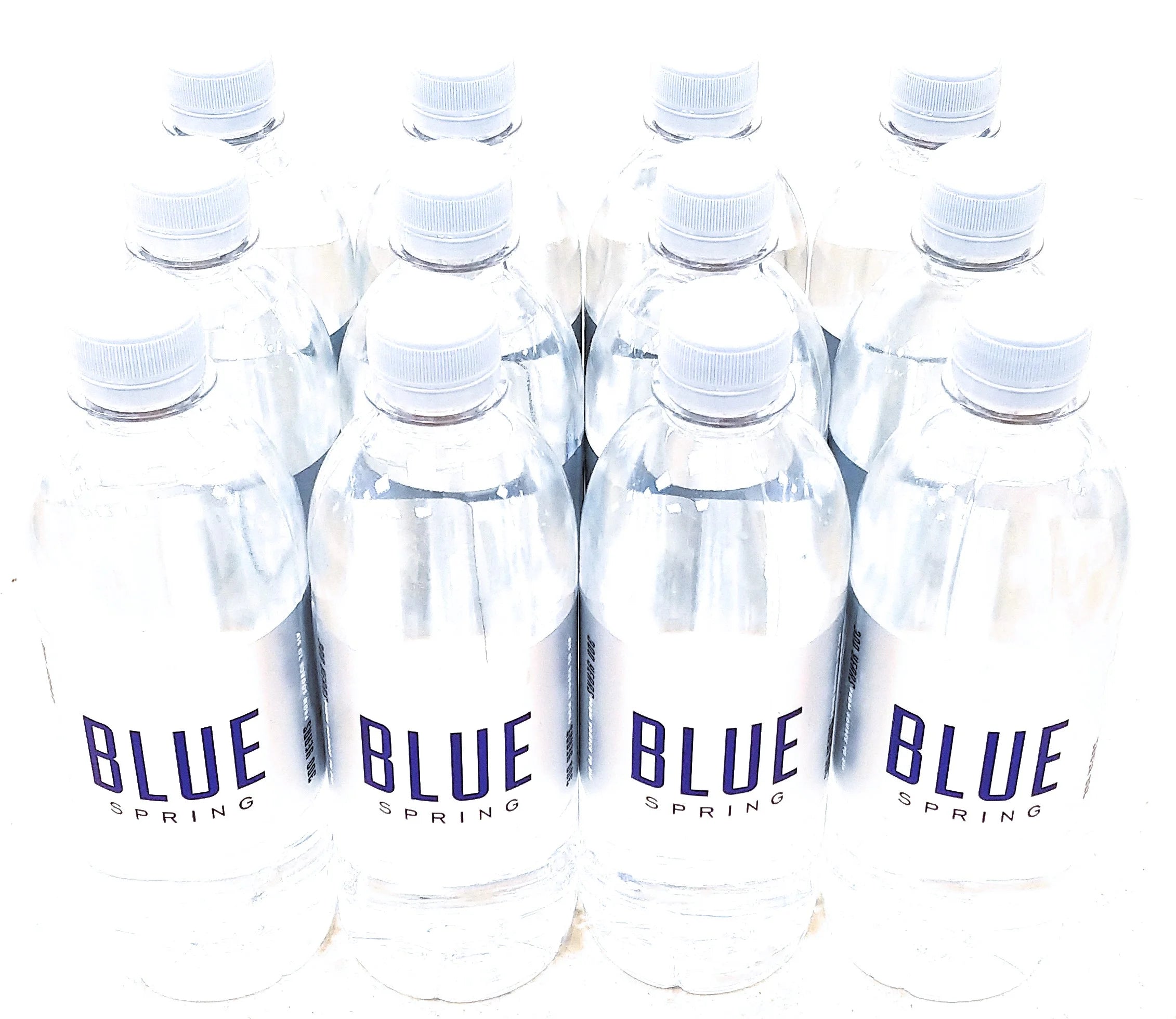 Natural Spring Water 16.9fl oz, 12 Pack A38062