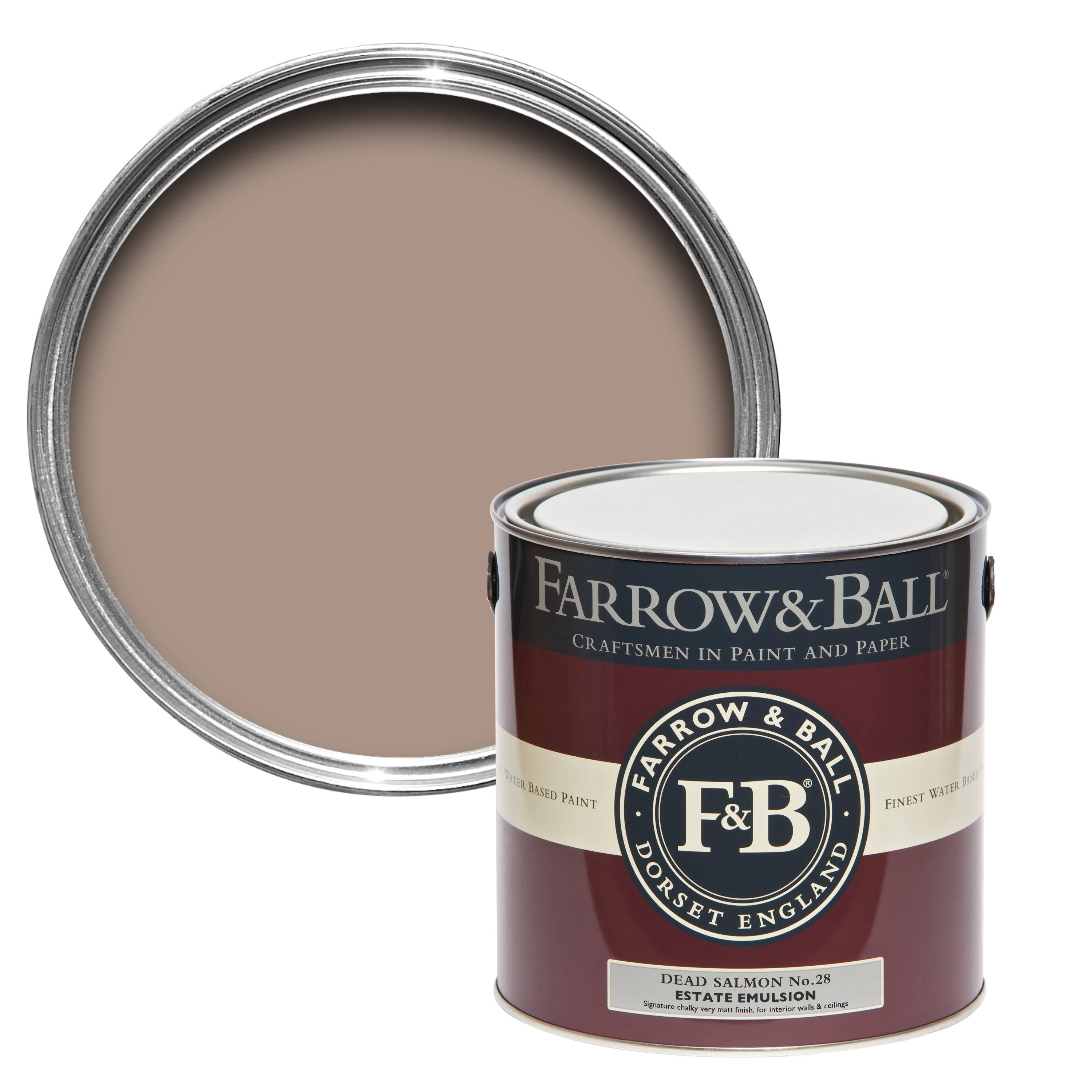 Dead Salmon Paint Eggshell V8191