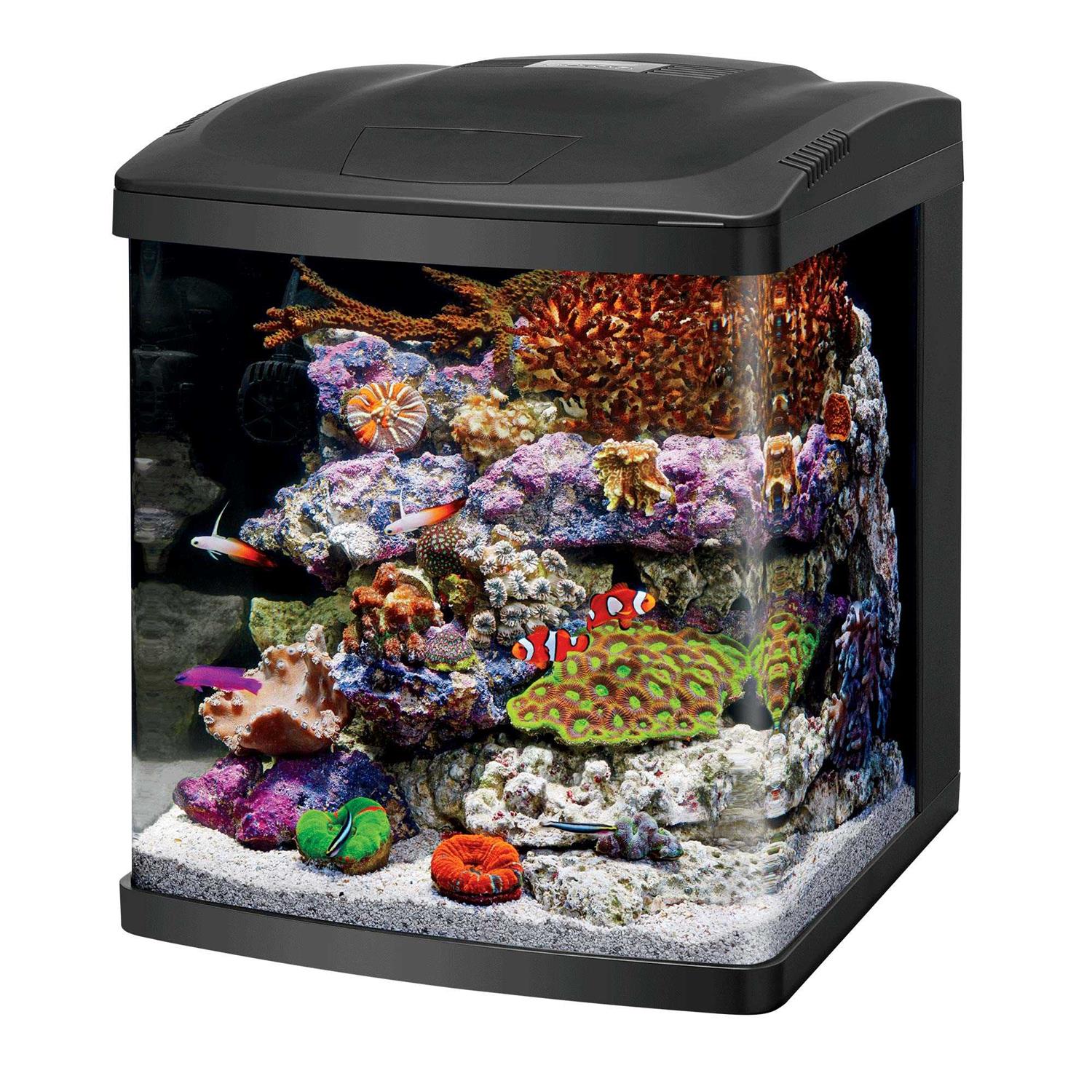 16 Gallon LED Aquarium Fish Tank Kit X572