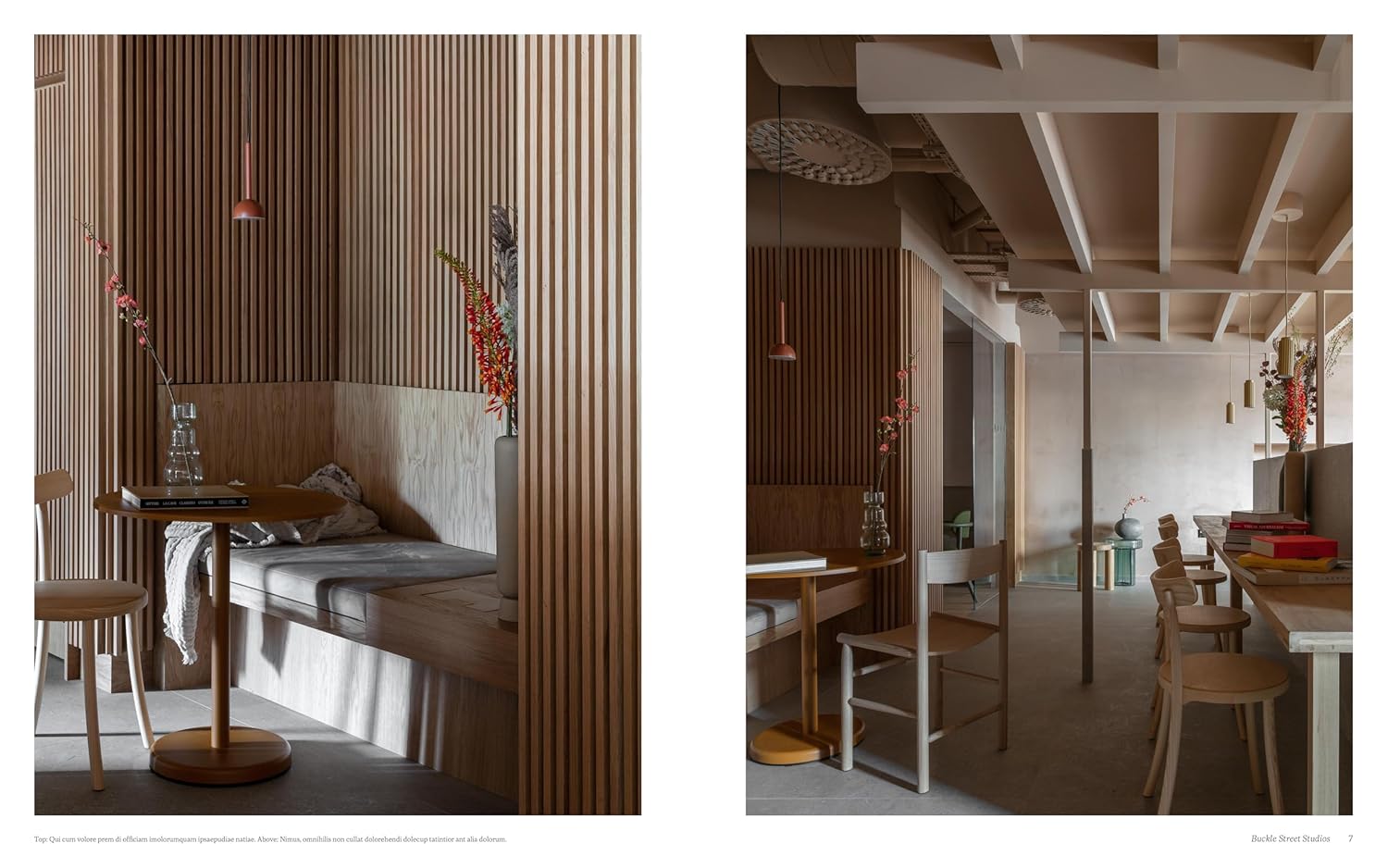 Scandinavian Living Interiors and Design J6194