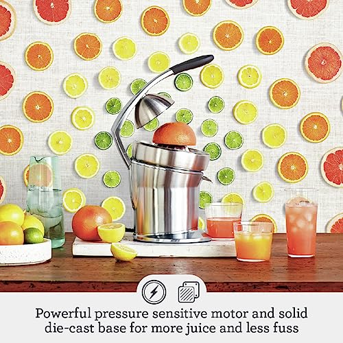 Stainless Steel Electric Citrus Juicer J981439