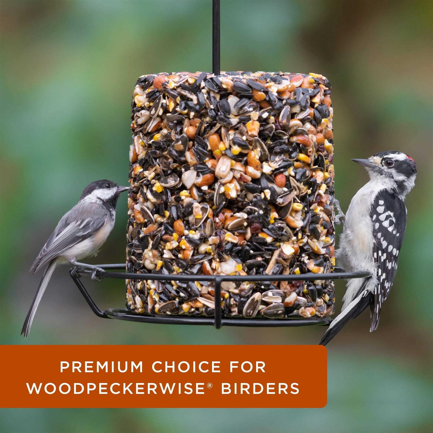 Woodpecker Snack Log Wild Bird Feed T244