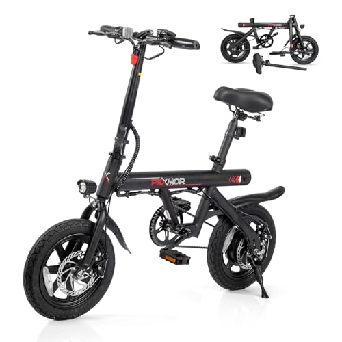 14" Folding Electric Bike 350W Motor 36V 6AH Battery W177