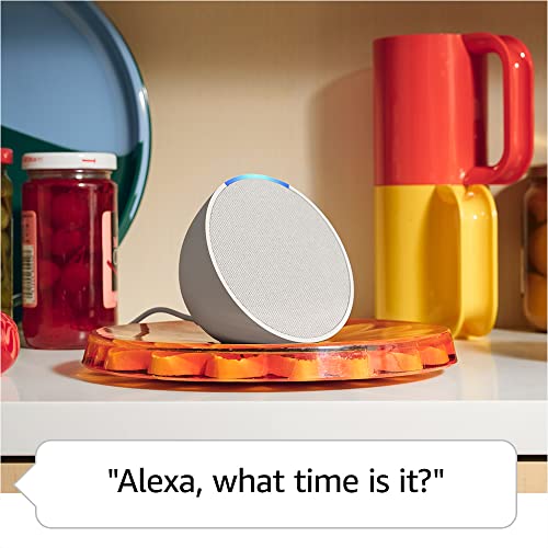 Midnight Teal Alexa Speaker C21540