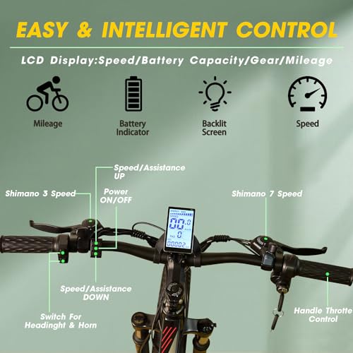 26'' Fat Tire Electric Bicycle with 750W Motor and 48V 13Ah Lithium Battery O522423
