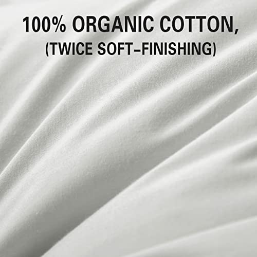 Queen Size 2 Pack Down Feather Pillow with 100% Cotton Cover L138007