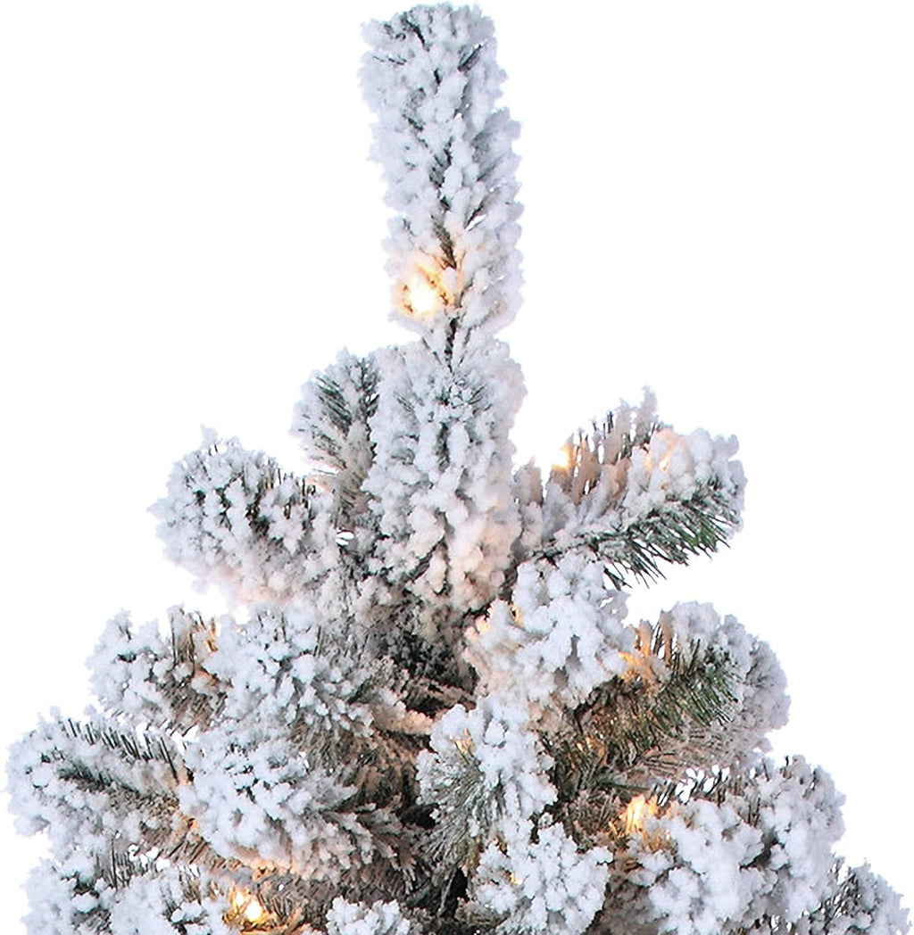 7 ft Pre Lit Clear Flocked Pine T164852