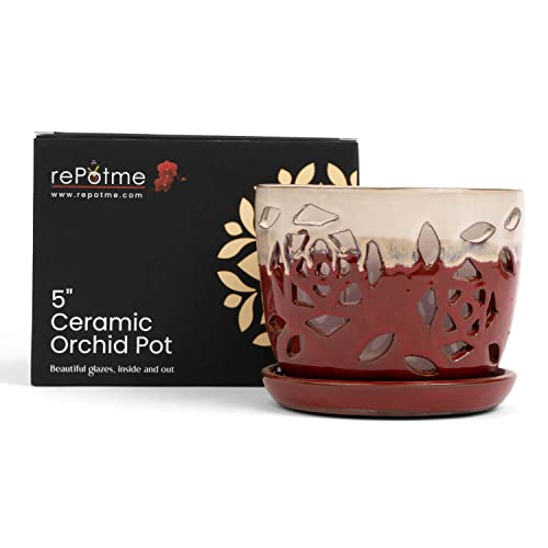 5 inch Ceramic Orchid Pot with Holes T34372