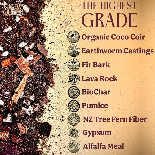 Chunky Well Draining Potting Mix 8QT S23437