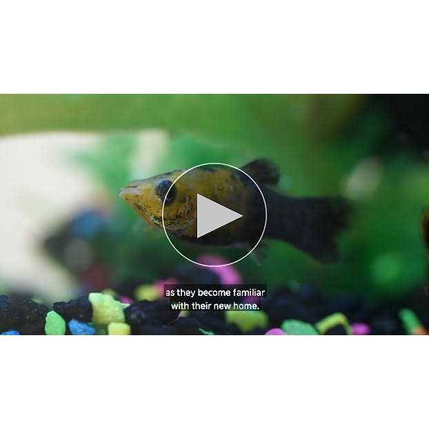 20 Gallon LED Aquarium Kit E4620