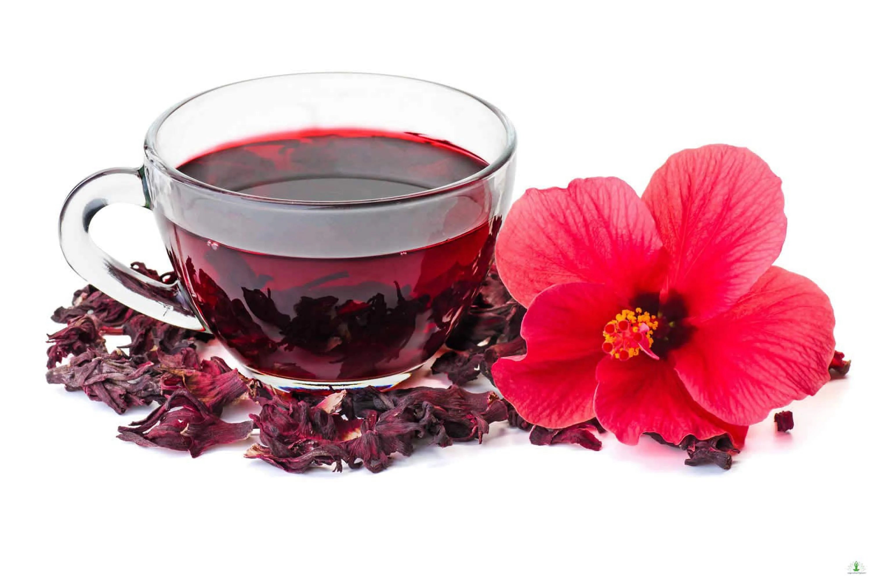 Organic Hibiscus flower Tea, cut & sifted 16 oz H5877