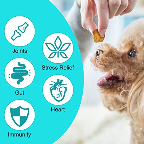 Calming Chews for Dogs with Hemp Oil (Chicken) O565335