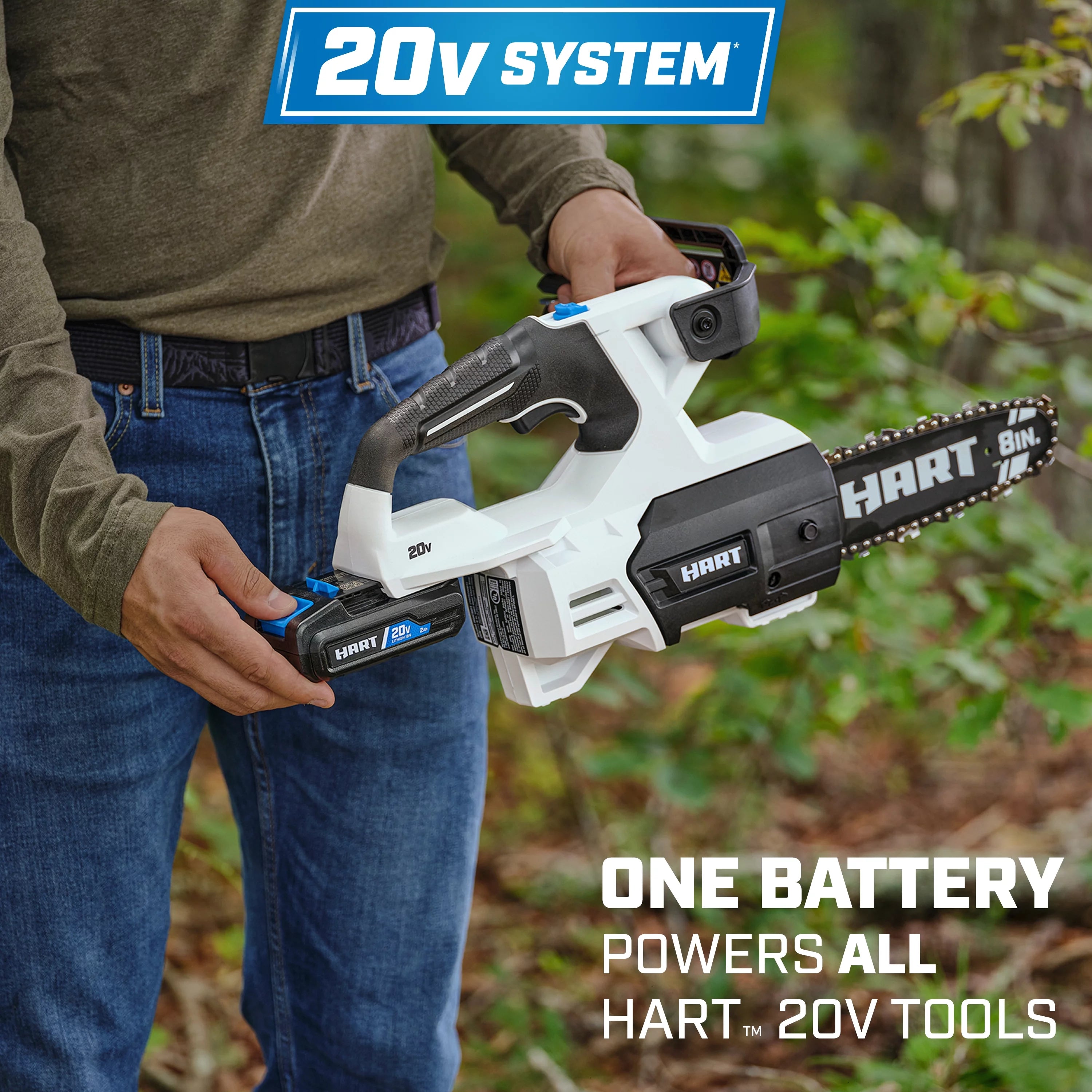 20-Volt 8-inch Battery-Powered Pruning Chainsaw Kit with 2.0Ah Lithium-Ion Battery T31183