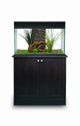 25-Gallon Glass Aquarium D137302