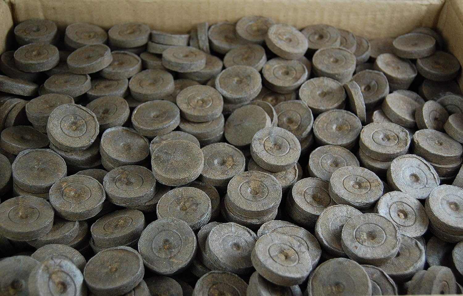100 ea Peat Pellet Y61686