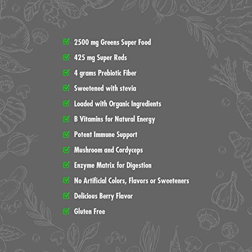 Vegan Greens & Reds Superfood Powder, 35 Servings U264827