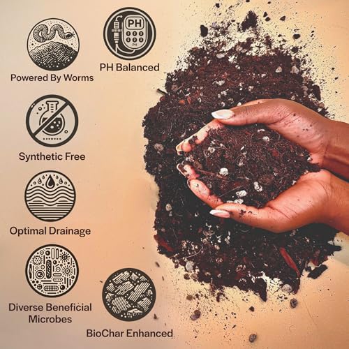 Chunky Well Draining Potting Mix 8QT S23437
