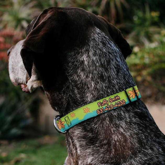 Scooby Doo The Mystery Machine Dog Collar P3512