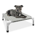 Elevated Pet Bed Dog Cot for Small Dogs A1599