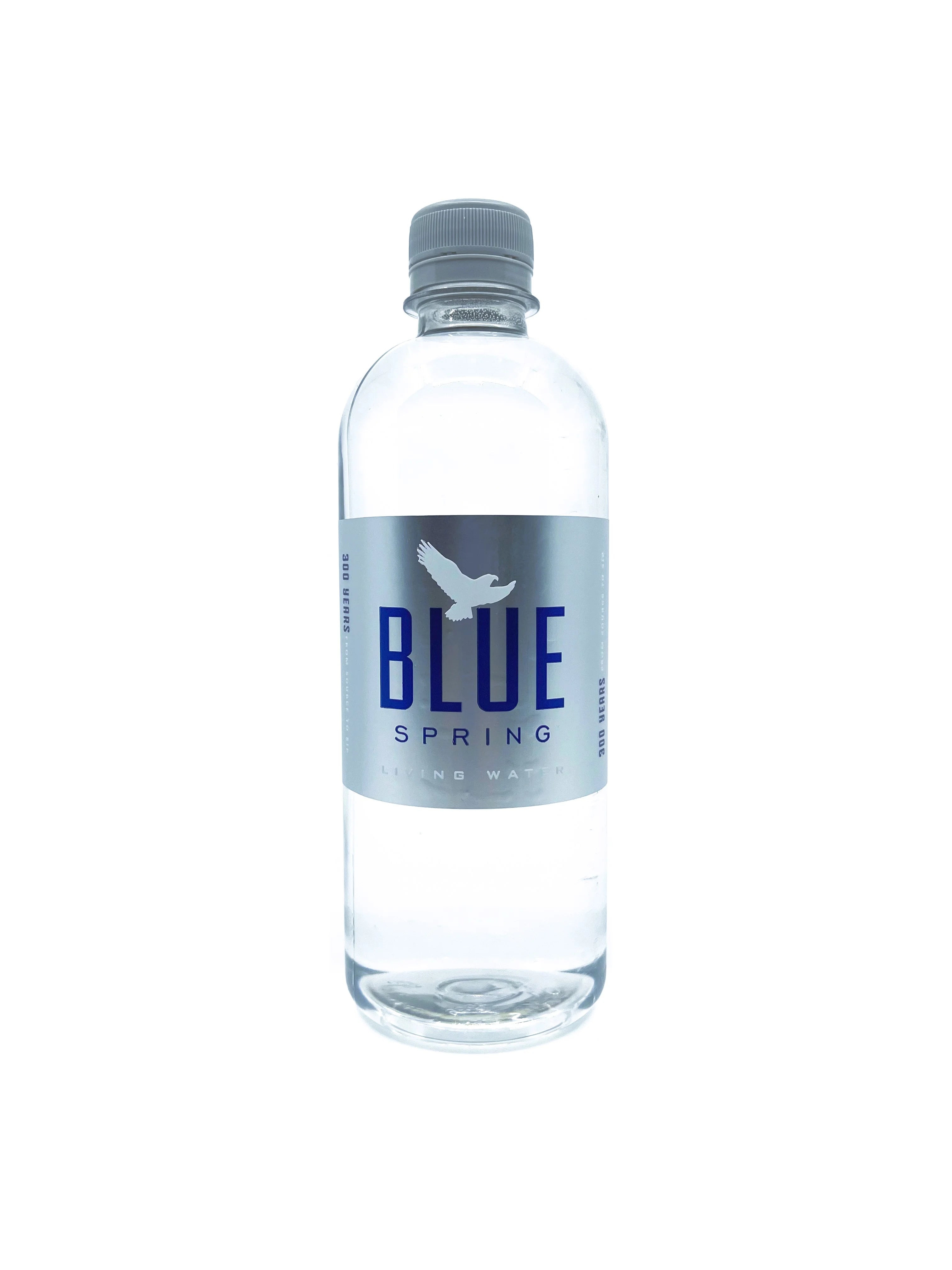 Natural Spring Water 16.9fl oz, 12 Pack A38062