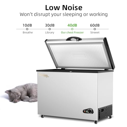 10 Cu Ft Chest Freezer with Removable Basket and Adjustable Thermostat L17997