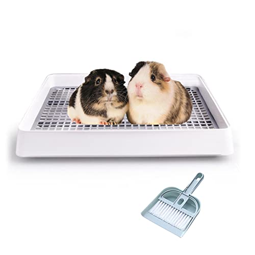 Rabbit Litter Box with Grate Y116