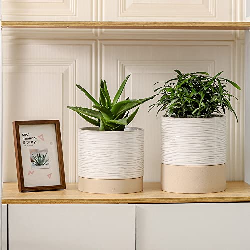 6 Inch Ceramic Self Watering Plant Pot with Drainage Hole Q388219
