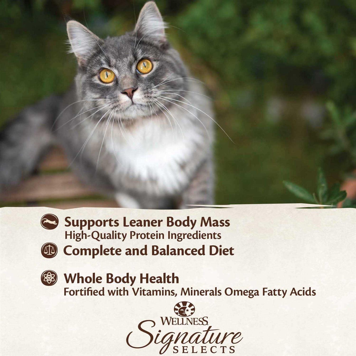 Poultry Selection Variety Pack Canned Cat Food S446
