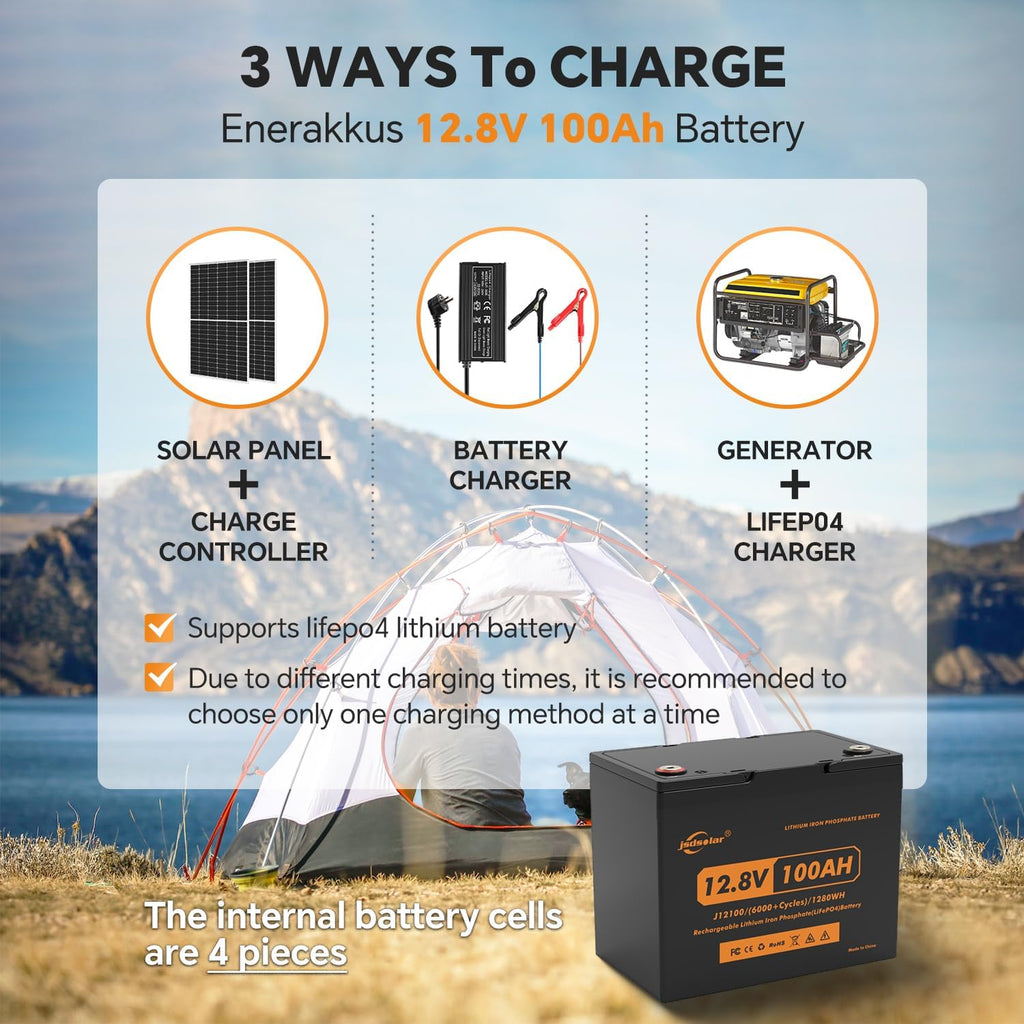 12V 100Ah Lithium LiFePO4 Battery Pack with 100A BMS F45804