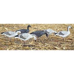 6 Pack Goose Decoys L6268